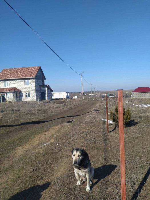 Светлое дачи, участки от 6 соток, документы по интересным ценам.