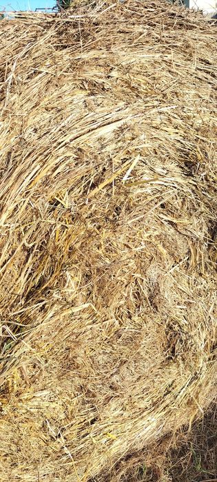 Rolos de palha mistura de vários fenos nascediços