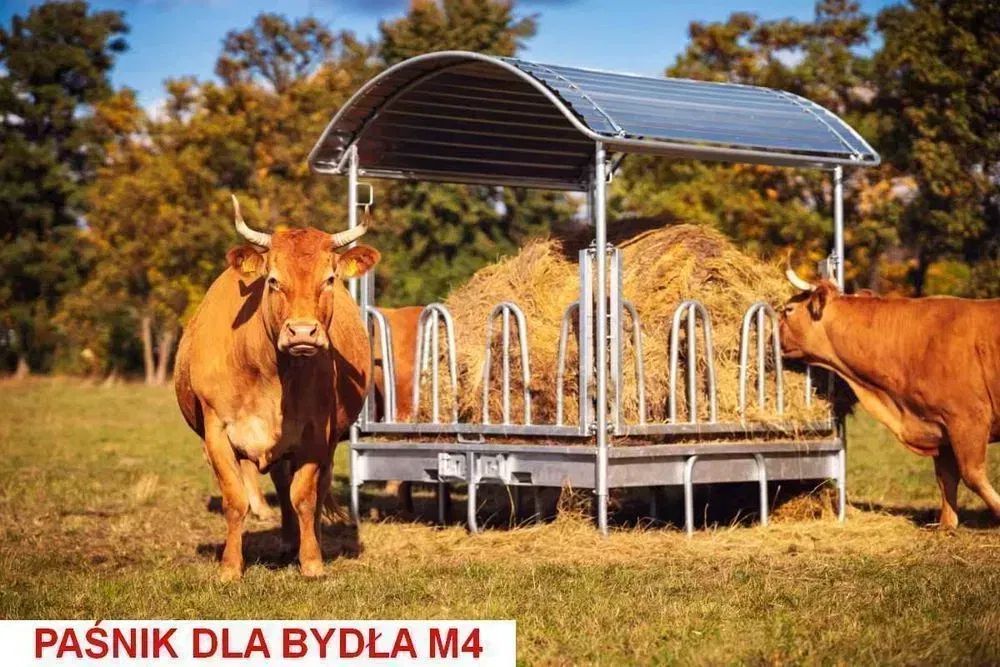 Paśnik dla koni bydła krów opasów alpak