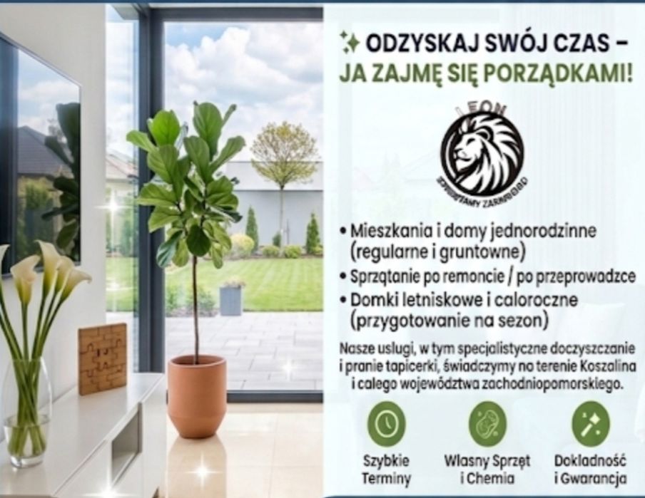 Leon - Sprzątamy zawodowo Koszalin i okolice