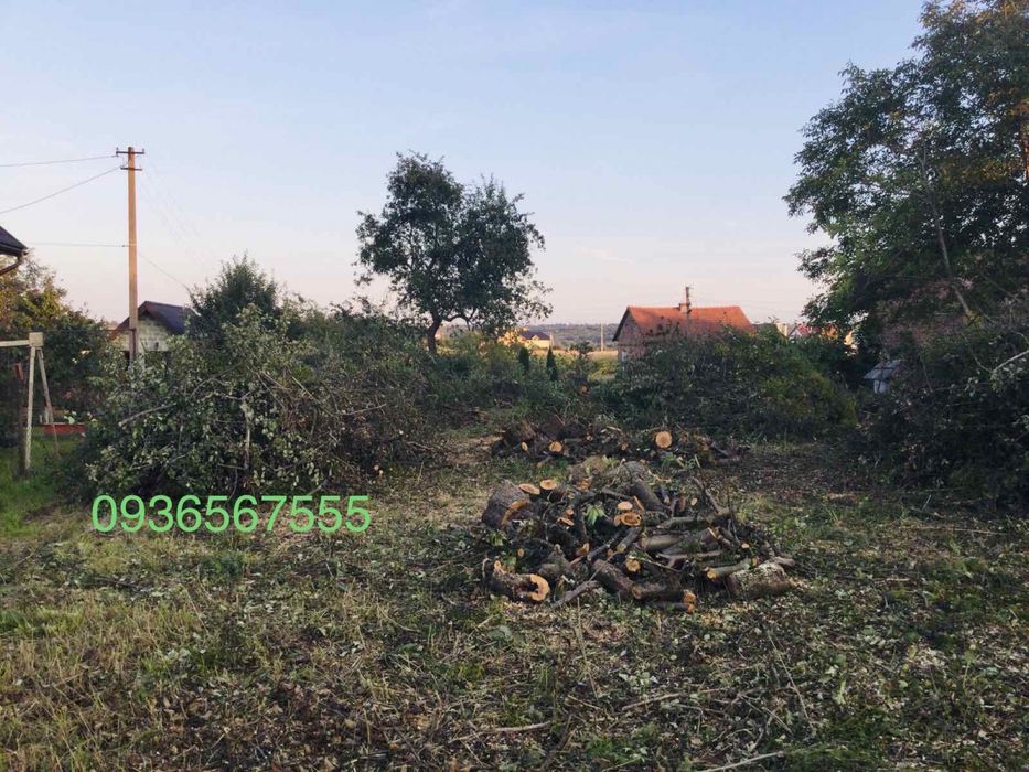 Чистка ділянок, зрізання дерев, очищення території, обрізка саду