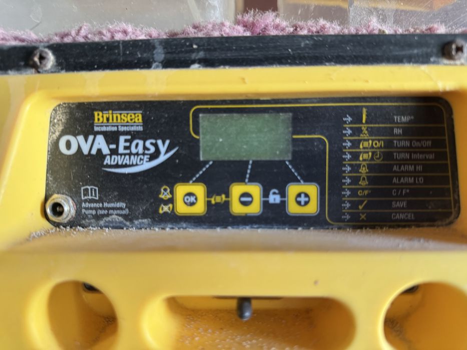 Incubadora Brinsea Ova-Easy Advance + Humidificador – Excelente Estado