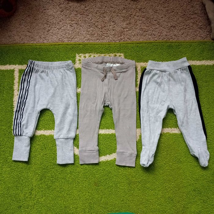 Półśpiochy 74 H&M, Gamex