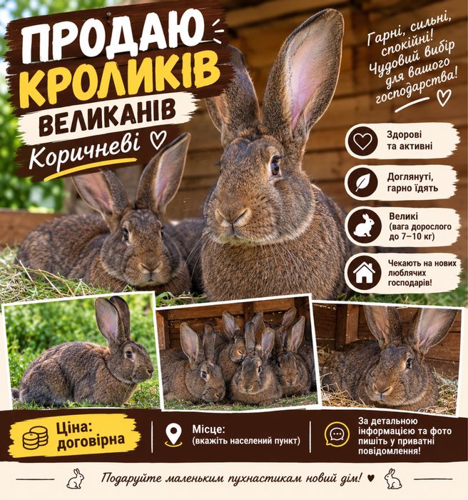 Кролики бельгійські велитні