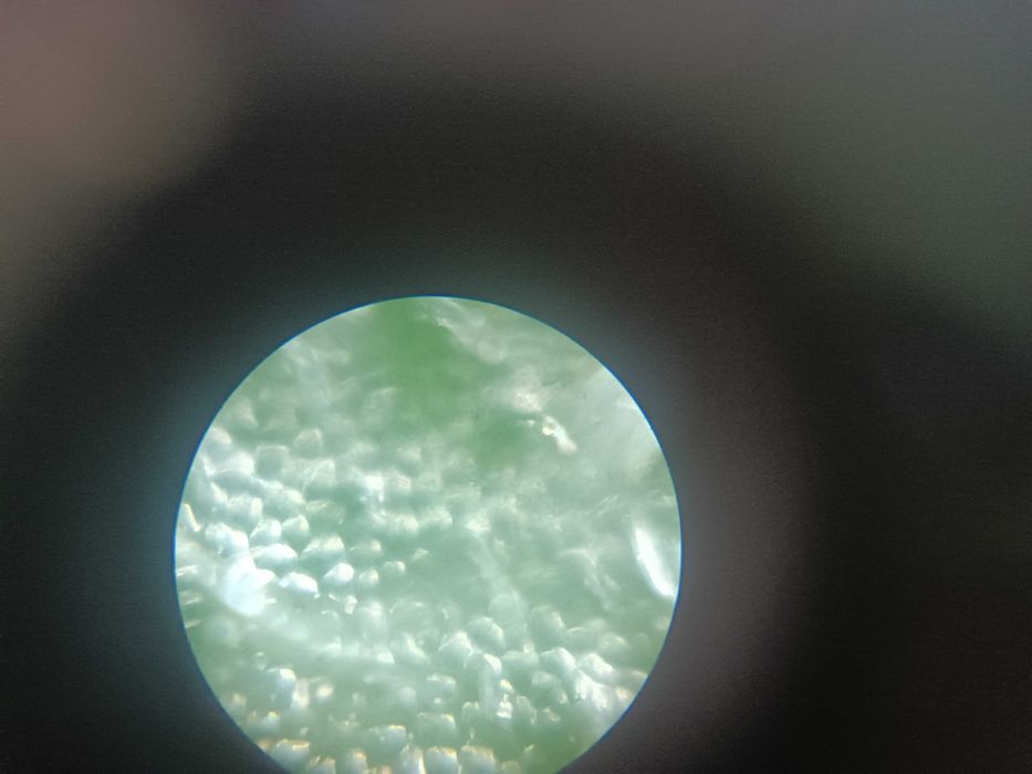 Німецький мікроскоп