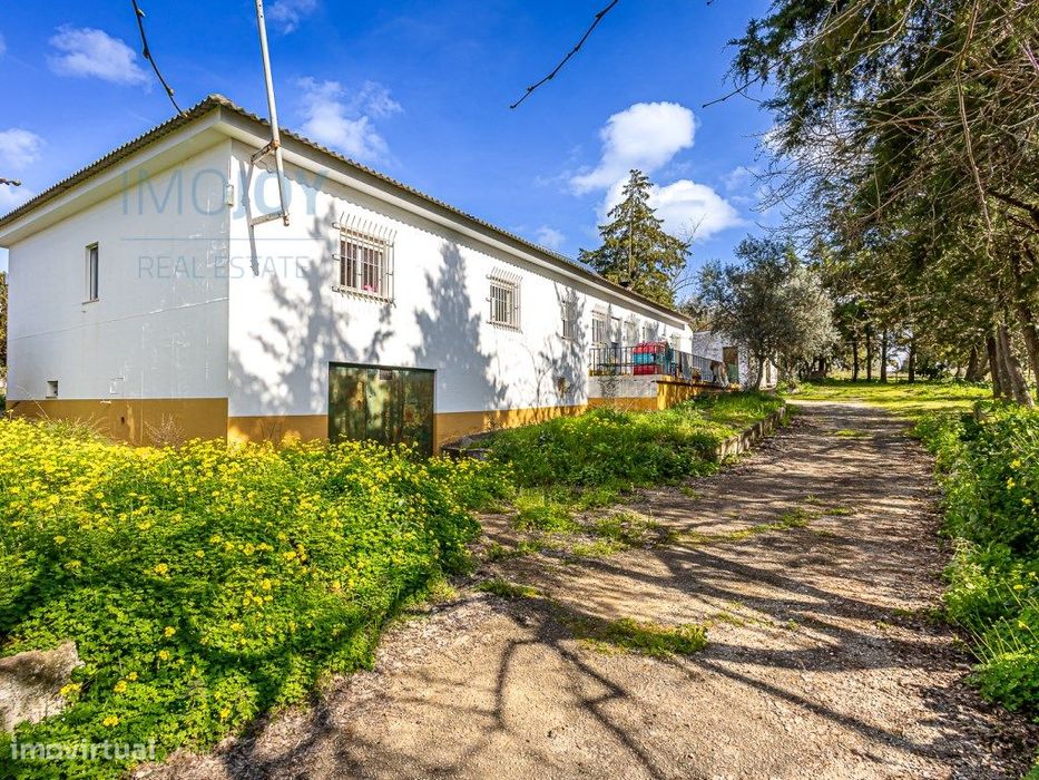 Moradia T4 com Grande Terreno em Alter de Chão — Alter do Chão, Portalegre