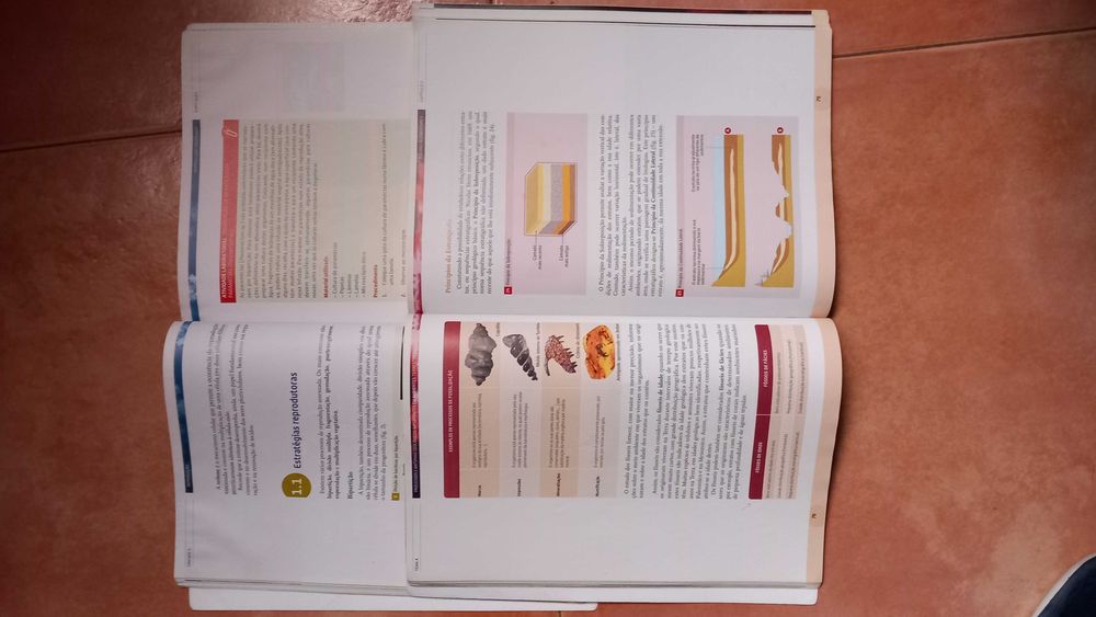 Manuais de biologia e geologia 11° ano