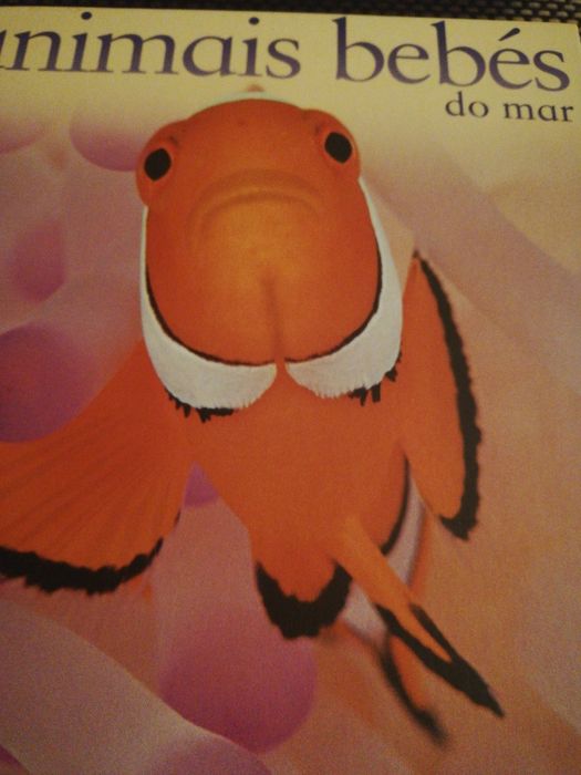 Colecção de livros "Animais bebés"