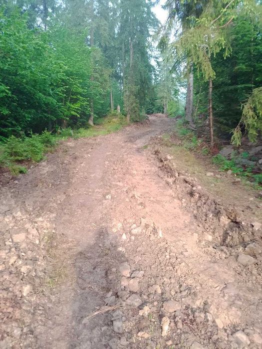 1,1679 га | Верховина | Повна приватність | Під забудову