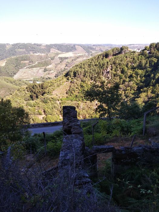 Terreno com 1,2 Hectares e Ruína em Pedra (225m²) – Parada de Cunhos, Vila Real