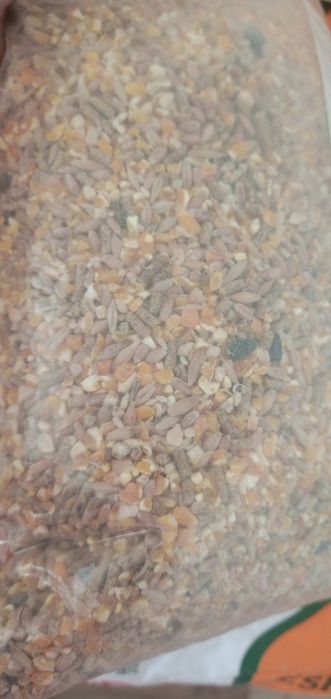 Misturas*Rações*Pintos