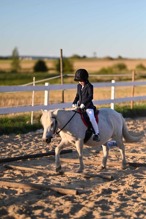 Kucyk dla poczatkującego
