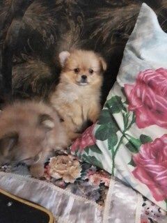 Мальчик и девочка