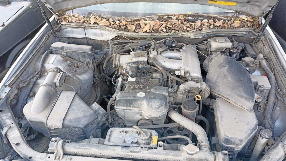 авто Lexus GS 300 ДНЗ: BH4453BT, 1999 р.в. VIN: JT153JSG000055890