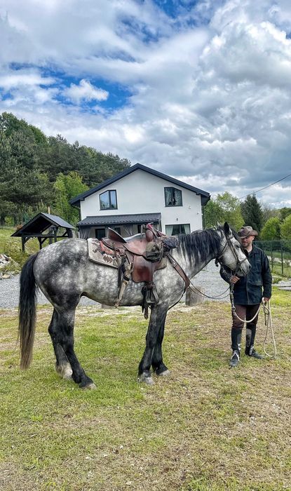 Вілла "Параня" з чаном-джакузі, Майдан (Жовківська ТГ)