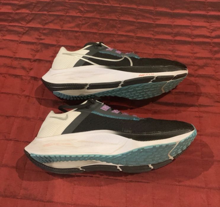 Nike Zoom Pegasus 38