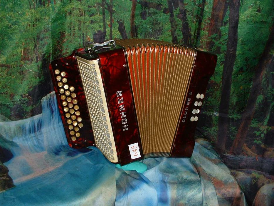 Concertina a venda n.645