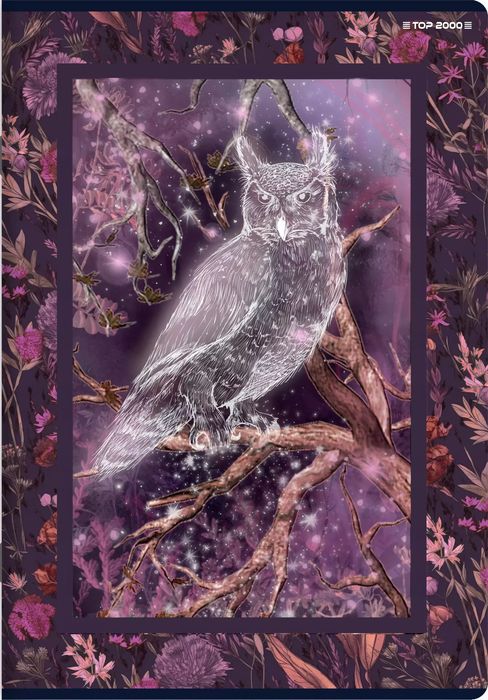 Zeszyt A5/60k kratka Fairytale Top Fol A 10. Nowy Produkt