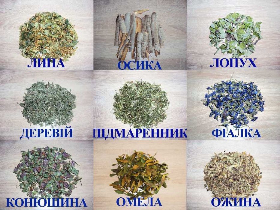 Липа. Лопух. Підмаренник. Фіалка. Омела. Конюшина. Деревій. Осика.