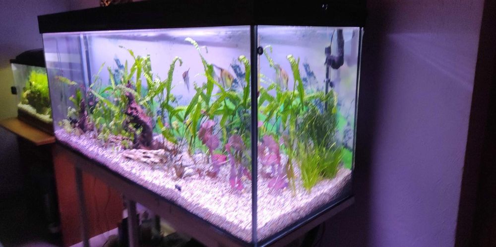 Akwarium proste 100x40x45 - 180 litrów OPTIWHITE