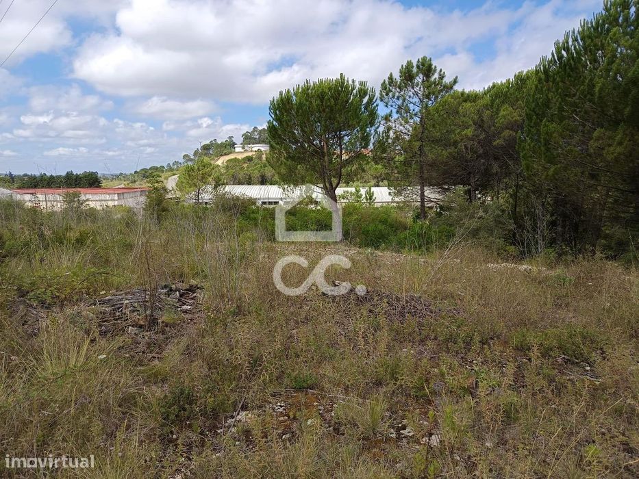 Terreno em Cernache com 7.609m2