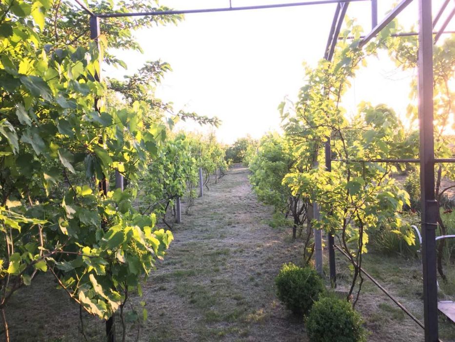 Будинок на узбережжі. Санжійка.