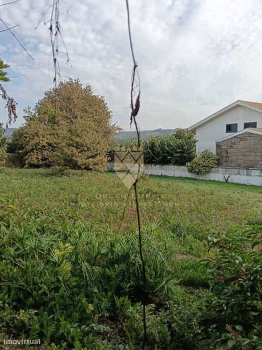 Terreno em Lodares, Lousada — Um Espaço com História e Potencial