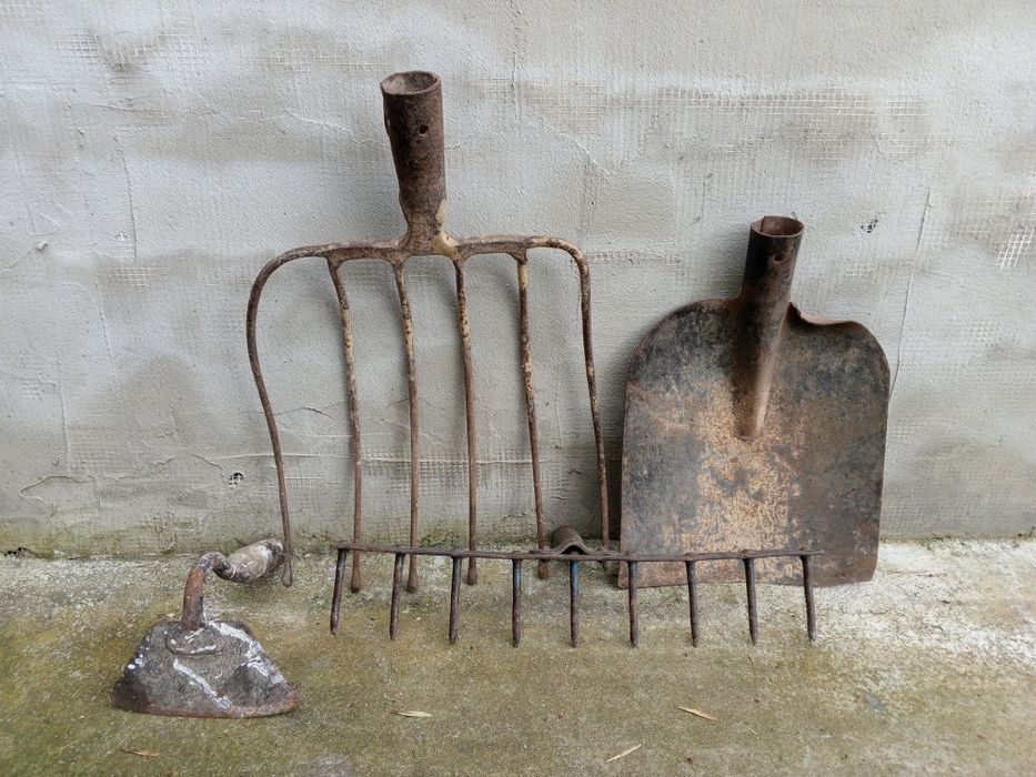 Лот сельскогосподарский