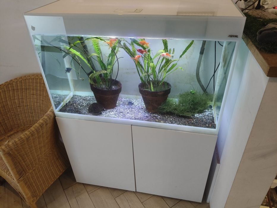 Akwarium z szafką (białe)  Aquael Glossy Optiwhite  260 litrów