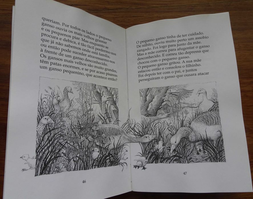 A História do Pequeno Ganso Que Era Vagaroso