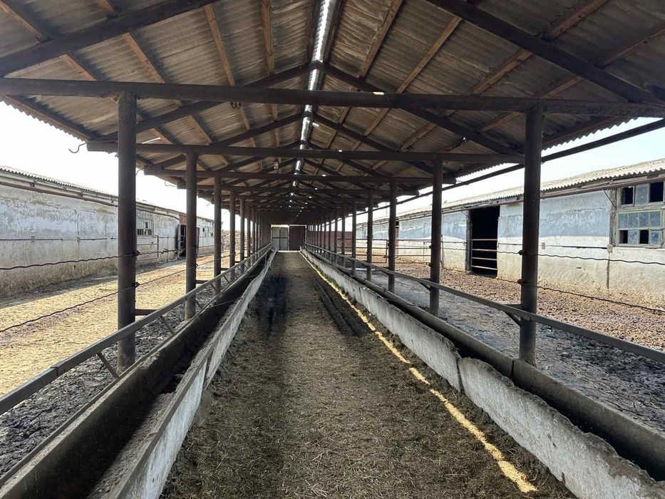 Продам дорожні Плити забороні металопрокат