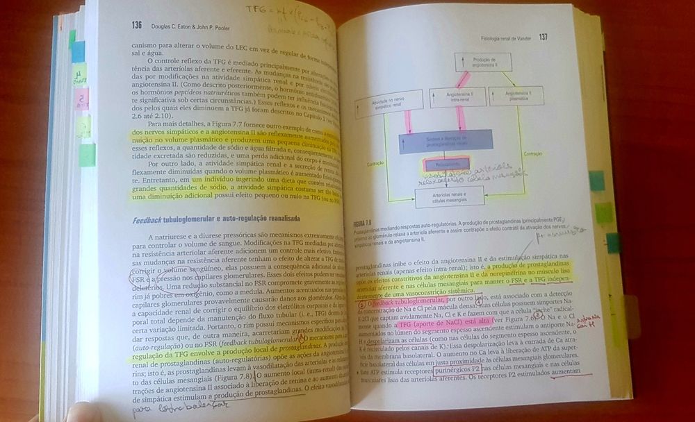 Vendo livro Fisiologia Renal de Vander 6° edição
