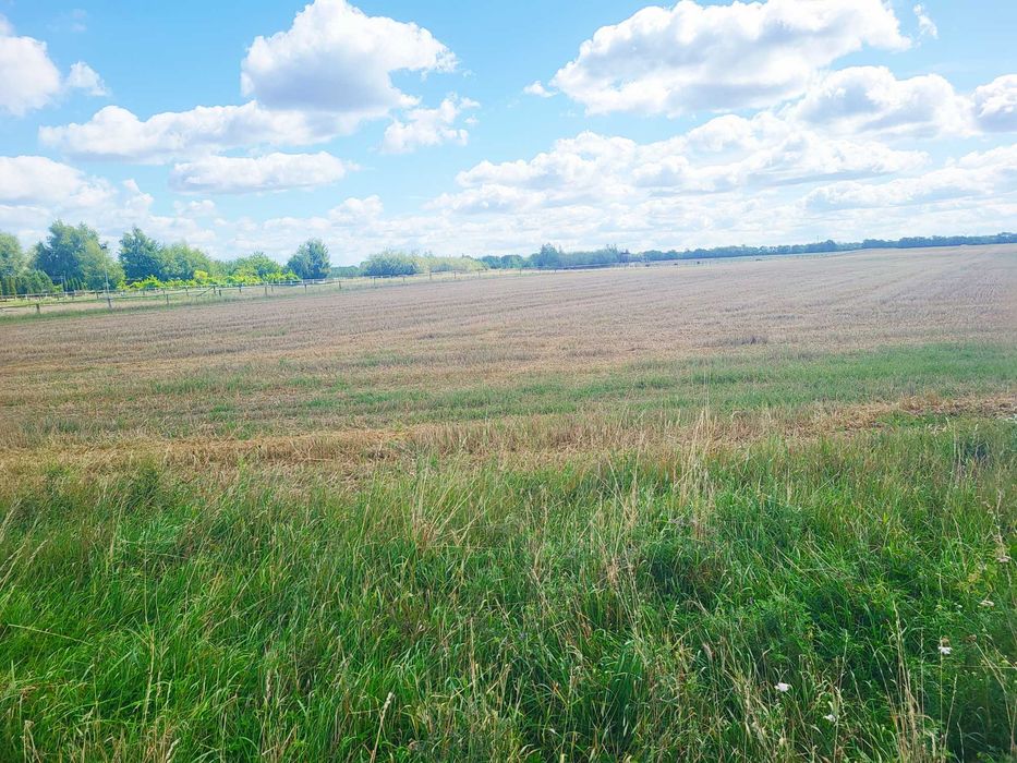 Działka budowlana - Widok 4