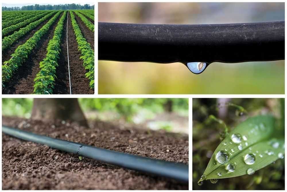 Linie kroplujące pod borówkę z kompensacją ciśnienia 16/33 !