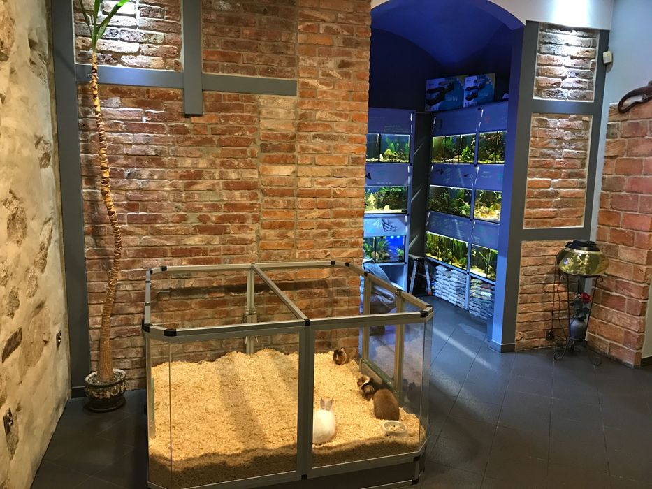 Okazja ! sprzedam lokal w centrum miasta.
