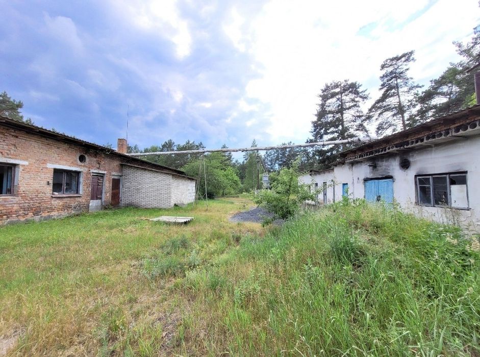 Продам! Виробничу базу,(ковбасний цех) 58сот, 530м2!