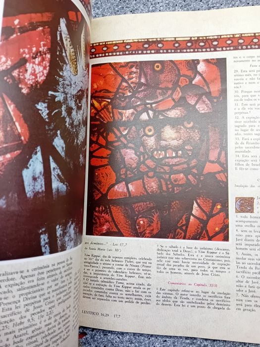 A Biblia Mais Bela do Mundo