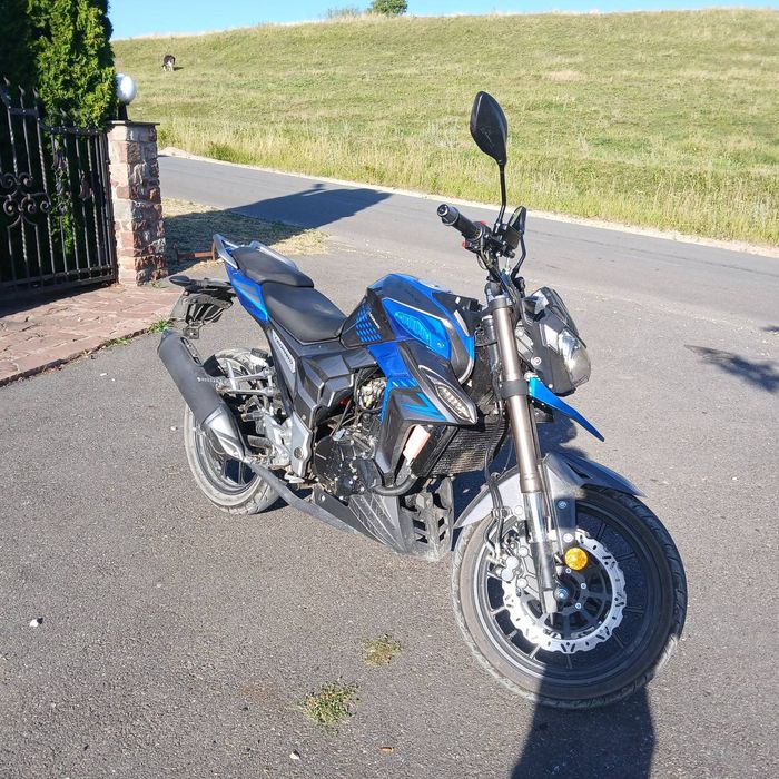 Senke leopard 300