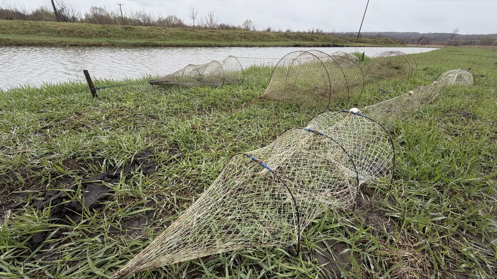 Раколовка , раколовки для ловлі раків