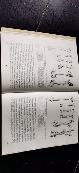 Anatomia zwierząt Kazimierz Krysiak