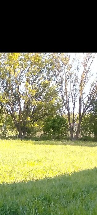 Фасадна земельна ділянка  м.Бориспіль 10 соток Участок.. Фасад 26.7 м.