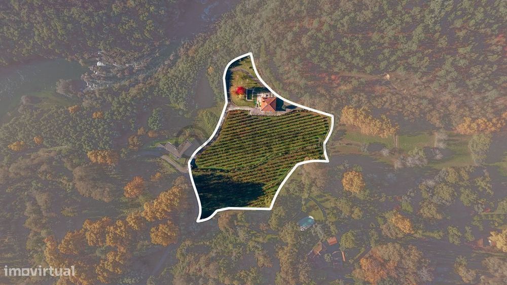 Quinta do Adigueiro, uma propriedade de charme única, situada em Bo...