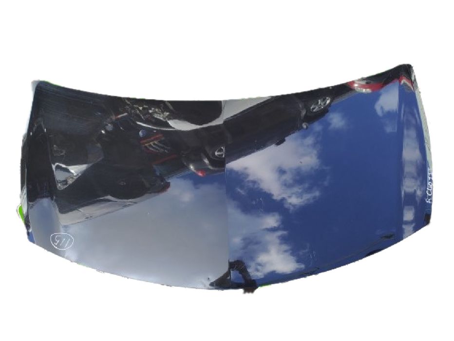 Capot RENAULT Clio III (BR0/1, CR0/1)