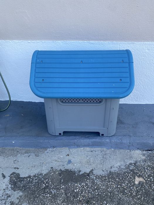 Casto para cão medio