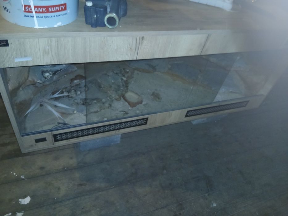Terarium sprzedam
