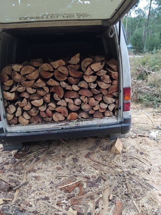 Vendo lenha seca