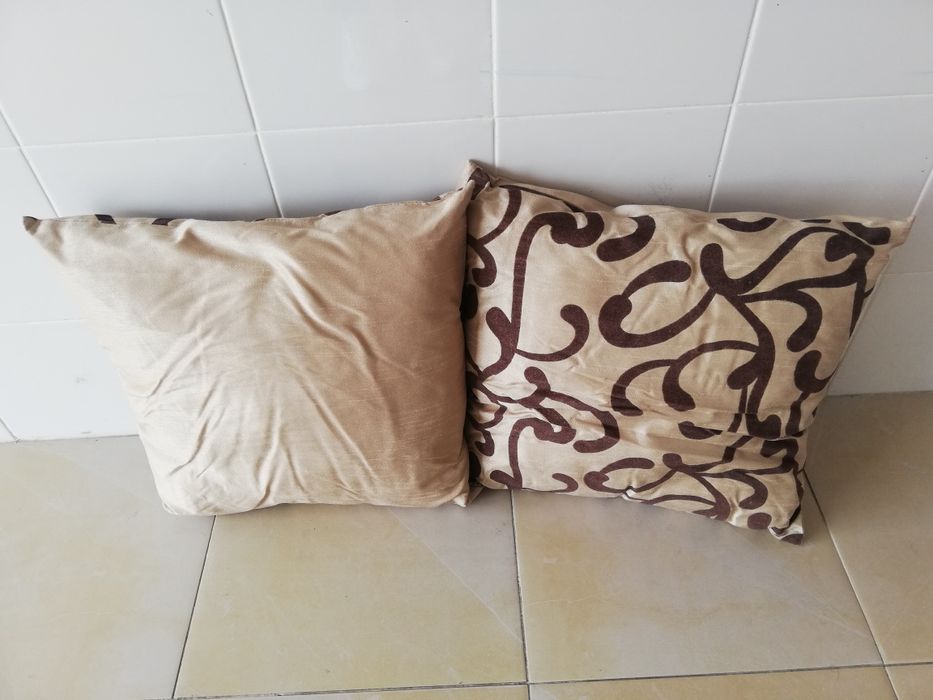 Conjunto de duas almofadas decorativas