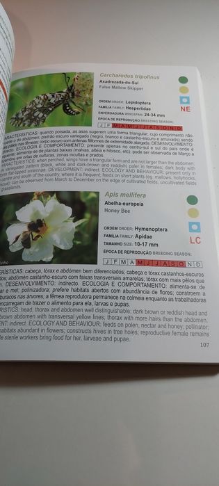 Guia de Campo da Região de Neves-Corvo, Uma Mina de Biodiversidade