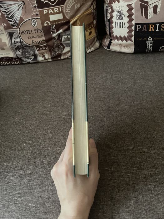 Флобер «Госпожа Бовари»