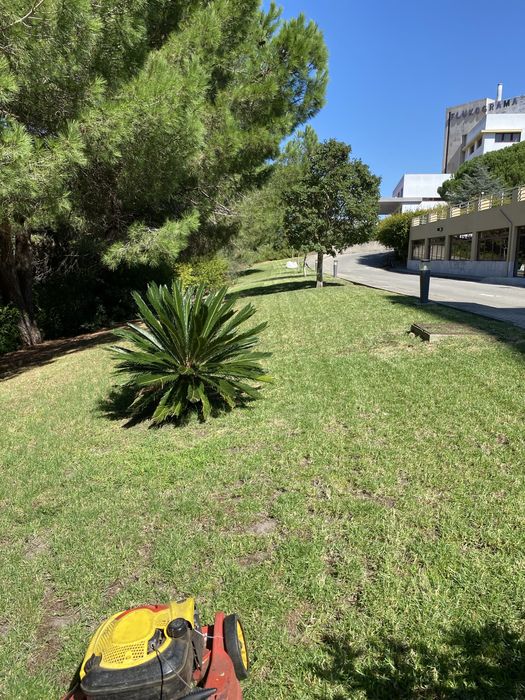 Serviço de jardinagem, limpeza de terrenos, poda de arvores